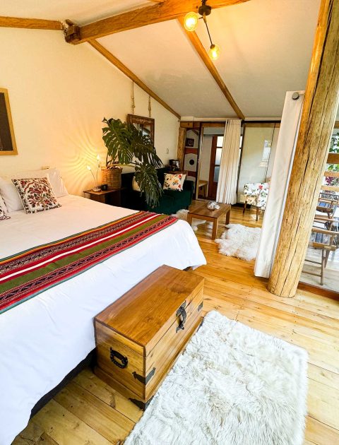 Machu Picchu One-Day Train Tour