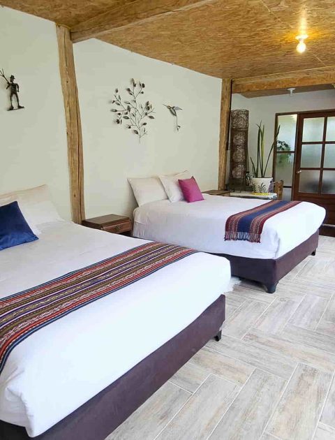 Machu Picchu One-Day Train Tour