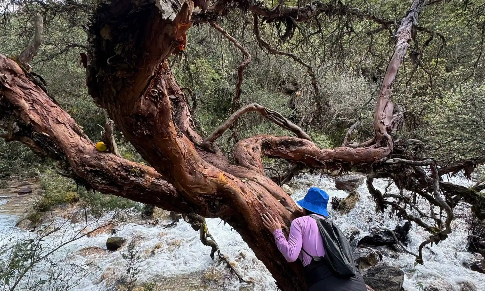 lares trek (7)