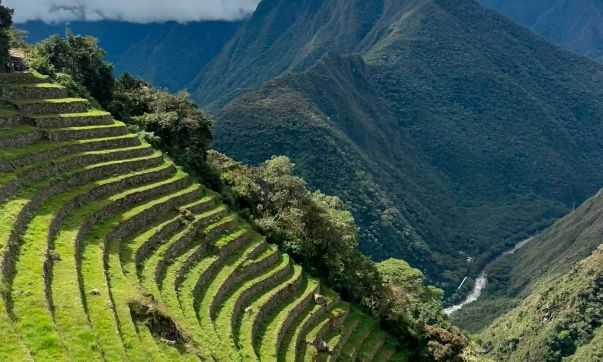 short inca trail machu picchu (7)