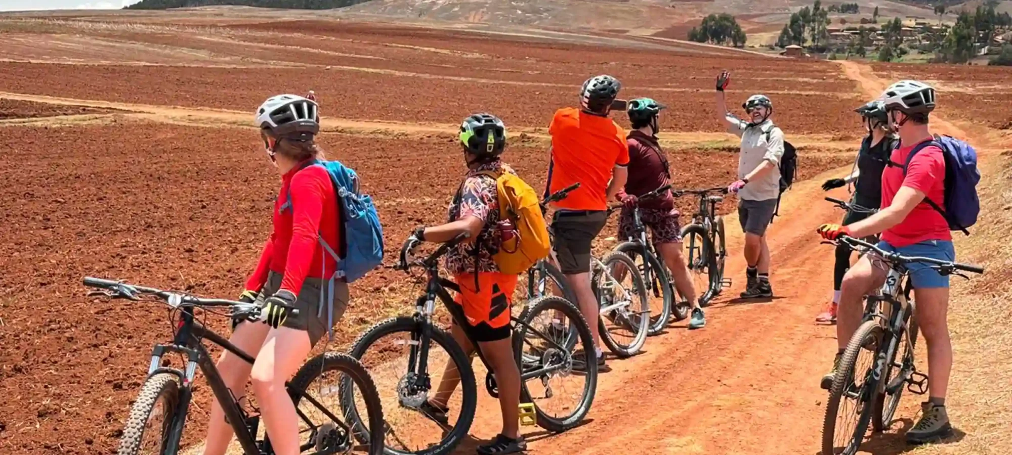 mountain bike (4)