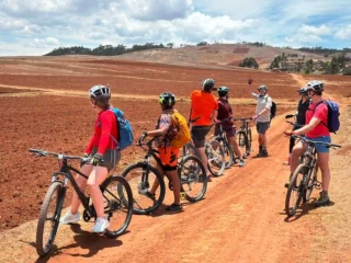 mountain bike (4)